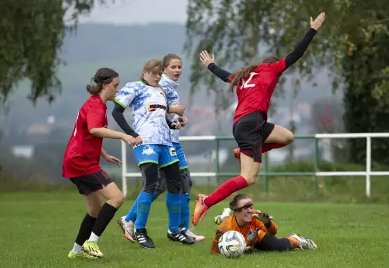 ČSK Uherský Brod - FSA Kras 3:1 (dorostenky)