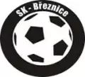 SK Březnice