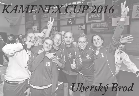 KAMENEX CUP 2016